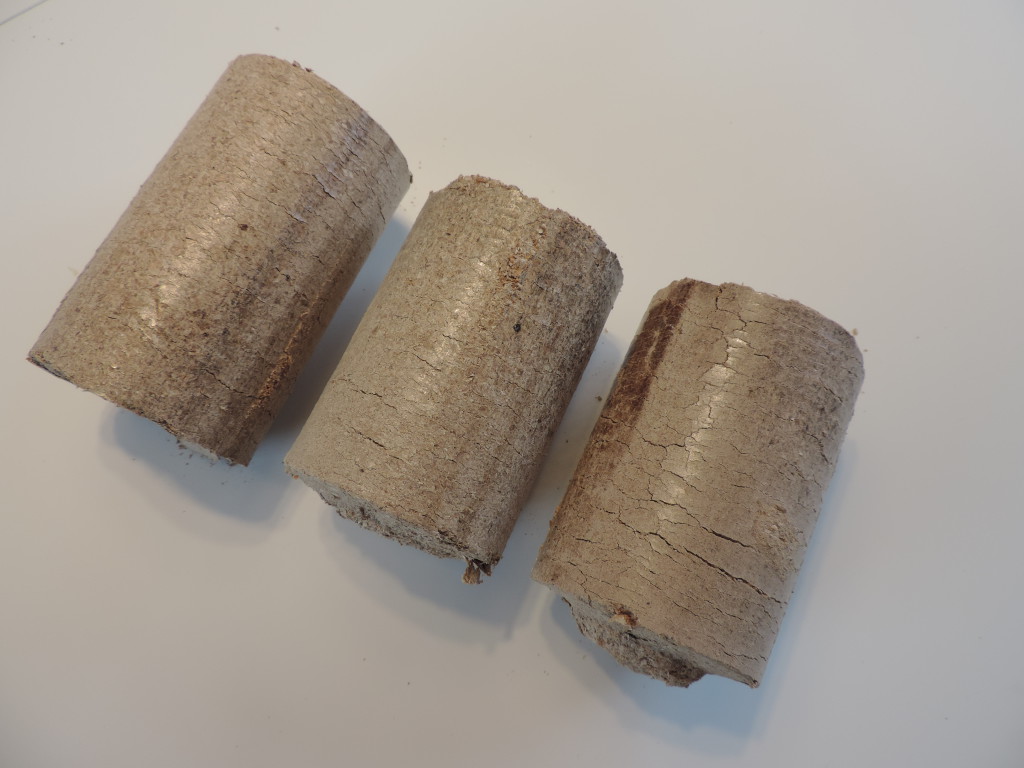 Wood briquettes of oak