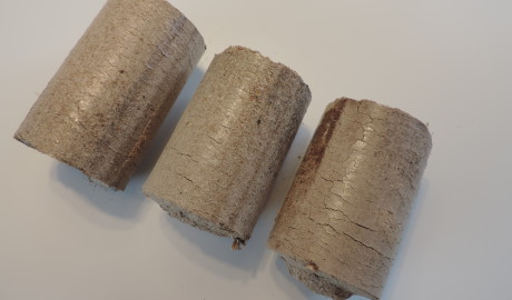 Wood briquettes of oak